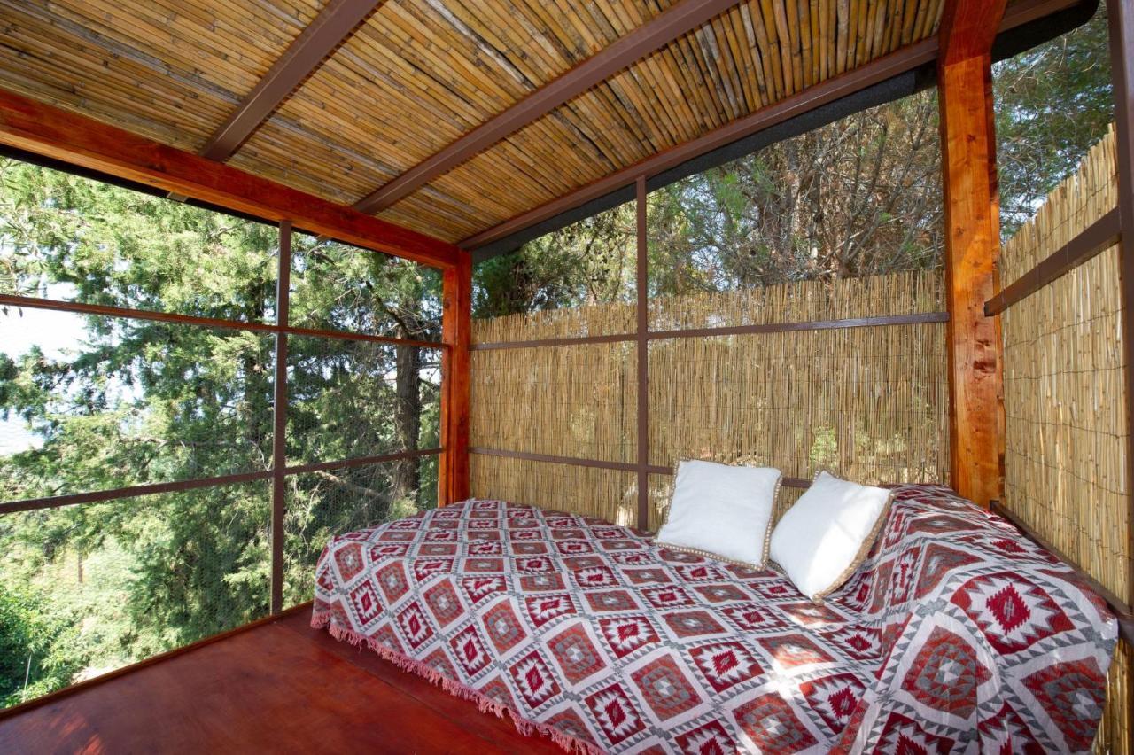 Semesterbostad Wild Oak Estate - Stunning Views At A Dreamy Location, By Zantewize Argassi